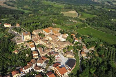 Tenuta di Ghizzano Ratings from Antonio Galloni's Vinous